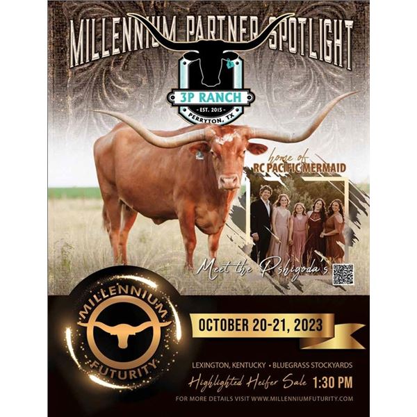 2024 Sale Catalog Cove