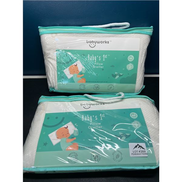 Lot of 2 Babyworks Baby's 1st Pillows