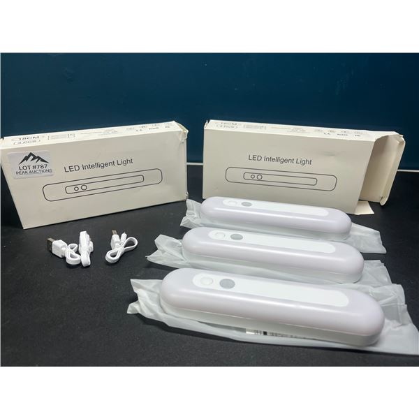 Lot of 2 Multi-Packs of LED Motion Sensor Lights - Rechargeable - 3 Lights per box/6 total