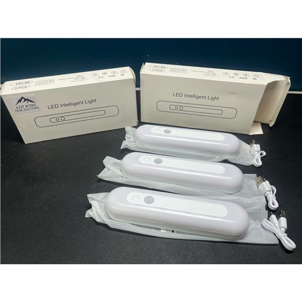 Lot of 2 Multi-Packs of LED Motion Sensor Lights - Rechargeable - 3 Lights per box/6 total