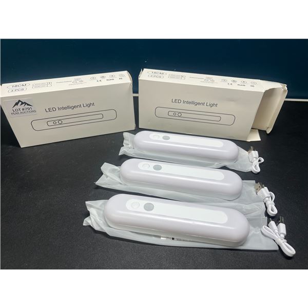 Lot of 2 Multi-Packs of LED Motion Sensor Lights - Rechargeable - 3 Lights per box/6 total