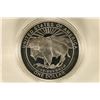 Image 2 : 1999-P US PROOF SILVER $1 "YELLOWSTONE" IN HARD