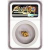 Image 2 : 3.30 Gram Yukon Gold Nugget NGC Graded