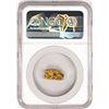 Image 2 : 2.52 Gram Yukon Gold Nugget NGC Graded