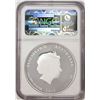 Image 2 : 2013-P Australia $1 Year Of The Snake 1oz. Colorized Silver Coin NGC MS69