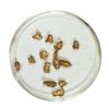 Image 1 : Gold Nuggets 2.07 Grams Total Weight