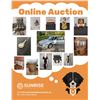 Image 1 : Online Auction