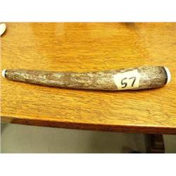 Fossilized Oosick 10"