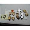 Image 1 : Lot of: Fossilized Ivory Pendants  9