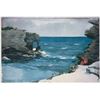 Image 1 : Homer - Rocky Shore, Bermuda