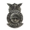 Image 1 : USAF Fire Protection Cap Badge