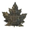 Image 3 : WW1 CEF 139th & 234th Battalion Cap Badge Lot