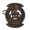 Image 6 : WW1 CEF 134th, 48th Highlanders Cap and Collar Badge Lot