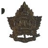 Image 3 : WW1 CEF 144th Battalion, Winnipeg Rifles, Cap and Collar Badge Lot