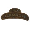 Image 3 : WW1 CEF 147th Battalion, Grey County, Cap & Shoulder Title Badge Lot