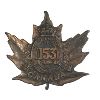 Image 1 : WW1 CEF 153rd Battalion, Wellington County, Cap Badge 