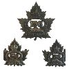 Image 2 : WW1 CEF 156th Battalion, Brockville, Cap & Collar Badge Lot