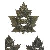 Image 2 : WW1 CEF 155th Battalion, Hastings & Prince Edward, Cap & Collar Badge Lot