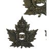 Image 3 : WW1 CEF 155th Battalion, Hastings & Prince Edward, Cap & Collar Badge Lot