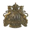 Image 2 : WW1 CEF 200th Battalion, Winnipeg, OFFICERS Cap & Collar Badge Lot