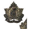 Image 2 : WW1 CEF 221st Battalion, Winnipeg, Cap & Collar Badge 