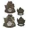 Image 1 : WW1 CEF 222nd Battalion, Southern Manitoba, Cap & Collar Badge 