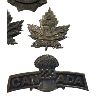 Image 5 : WW1 CEF 229th Battalion, South Saskatchewan Cap, Collar & Shoulder Title Badge Lot 
