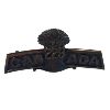Image 6 : WW1 CEF 229th Battalion, South Saskatchewan Cap, Collar & Shoulder Title Badge Lot 