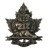 Image 2 : WW1 217th Battalion, Moosomin Saskatchewan Cap & Collar Badge Lot