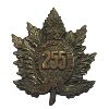 Image 1 : WW1 CEF 255th Battalion, Queens Own Rifles Cap Badge 