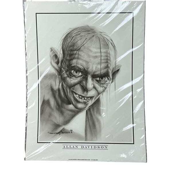 Rare Allan Davidson celebrity Portrait Lord of the rings Frodo Print 18"x24"