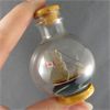 Image 2 : Mini Ship In a Glass Bottle 