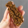 Image 1 : Coprolite Fossil (Dino Poo)	