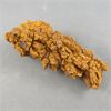 Image 2 : Coprolite Fossil (Dino Poo)	