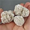 Image 1 : Lot of 2 Raw Selenite Desert Rose Crystals