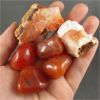 Image 2 : Lot of Polished & Raw Carnelian Specimens 
