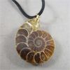 Image 2 : Set of 3 Pendants - Blue Howlite, Imperial Jasper and Ammonite Fossil