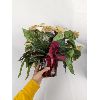 Image 11 : Large Lot of Various Christmas Decorations