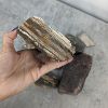 Image 3 : 8 LB Lot of Lapidary Cutting Rock - Agate, Petrified Wood, Jasper, Quartz