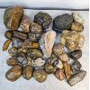 Image 1 : 18KG Lapidary Stone - Agate 