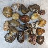 Image 1 : 7KG Lapidary Stone - Agate 