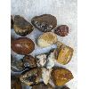 Image 3 : 7KG Lapidary Stone - Agate 