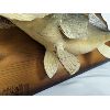 Image 2 : Large Walleye Fish Mounted Taxidermy 30" x 13" 