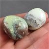 Image 1 : Set of 2 Chrysoprase Polished Crystals