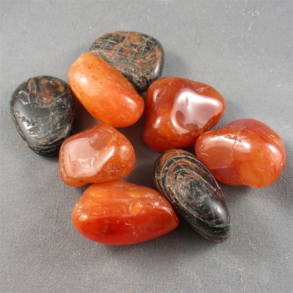 Lot of Polished Carnelian & Black Tourmaline With Red Jasper Specimens