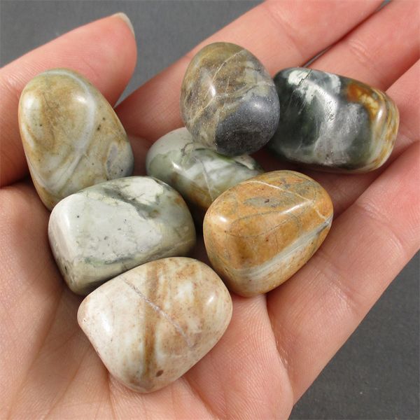 Lot of Polished Picasso Jasper Specimens