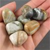 Image 1 : Lot of Polished Picasso Jasper Specimens