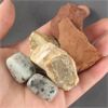 Image 1 : Lot of Raw & Polished Jasper Specimens (Red, Picture & Kiwi Jasper)
