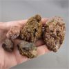 Image 2 : Lot of Raw Garnet Crystal Specimens from Manitoba 