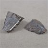 Image 1 : 2 Meteorites from Oka Quebec